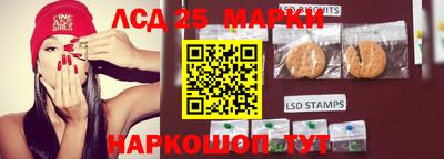 гидропоника Чебоксары