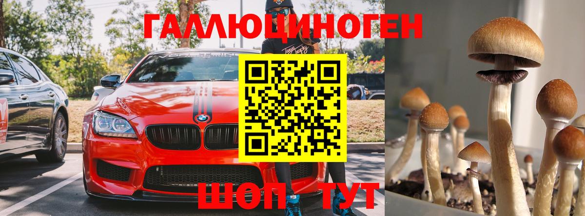 Галлюциногенные грибы MAGIC MUSHROOMS Ставрополь