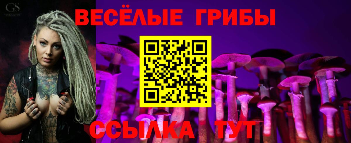 Псилоцибиновые грибы Cubensis  Вход с VPN  Ставрополь 